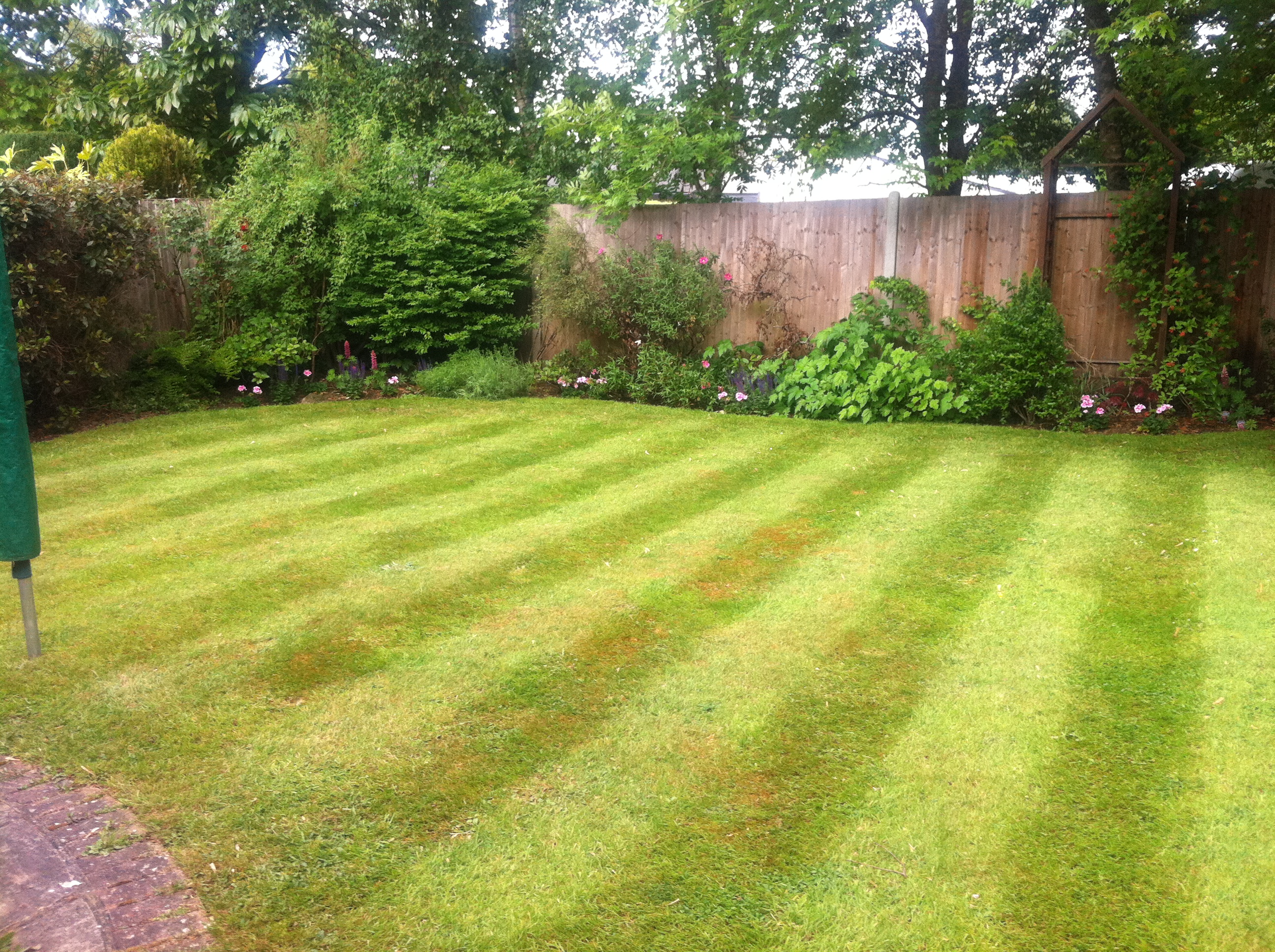 Stripey lawn